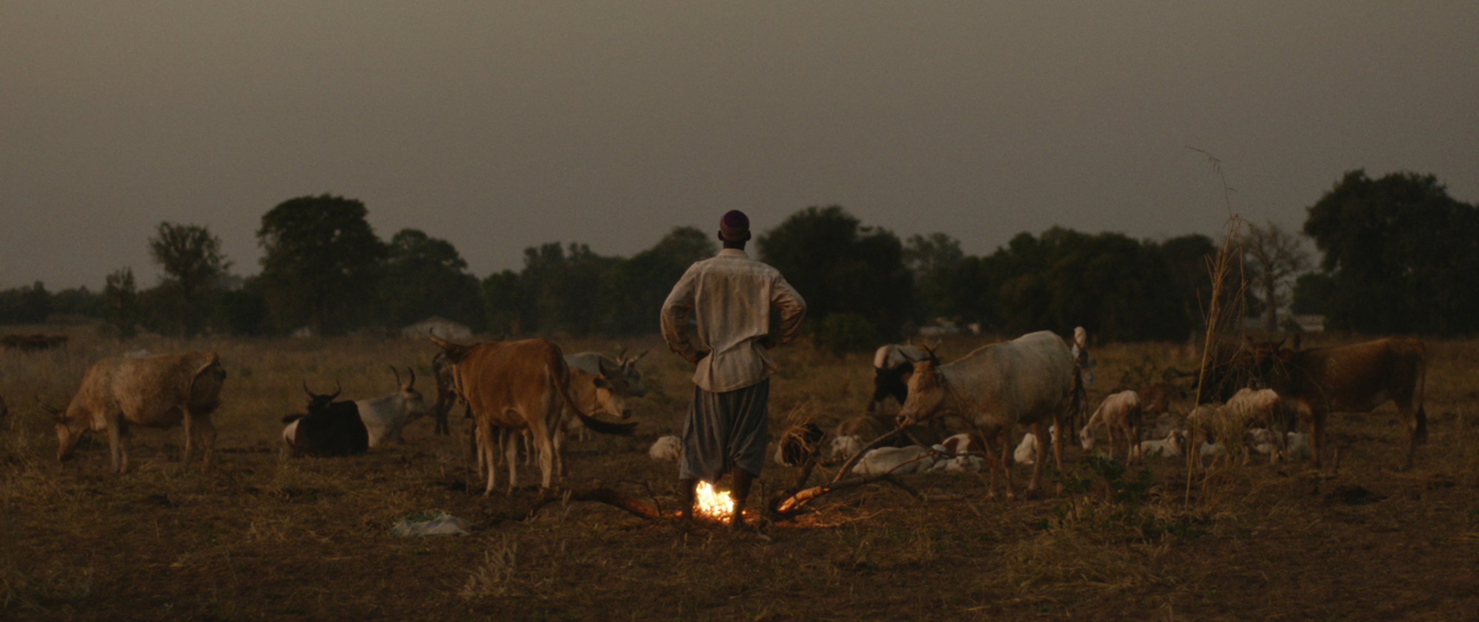 Doha Film Festival Champions Global Storytelling with Diverse International Feature Films Competing for Top Honours